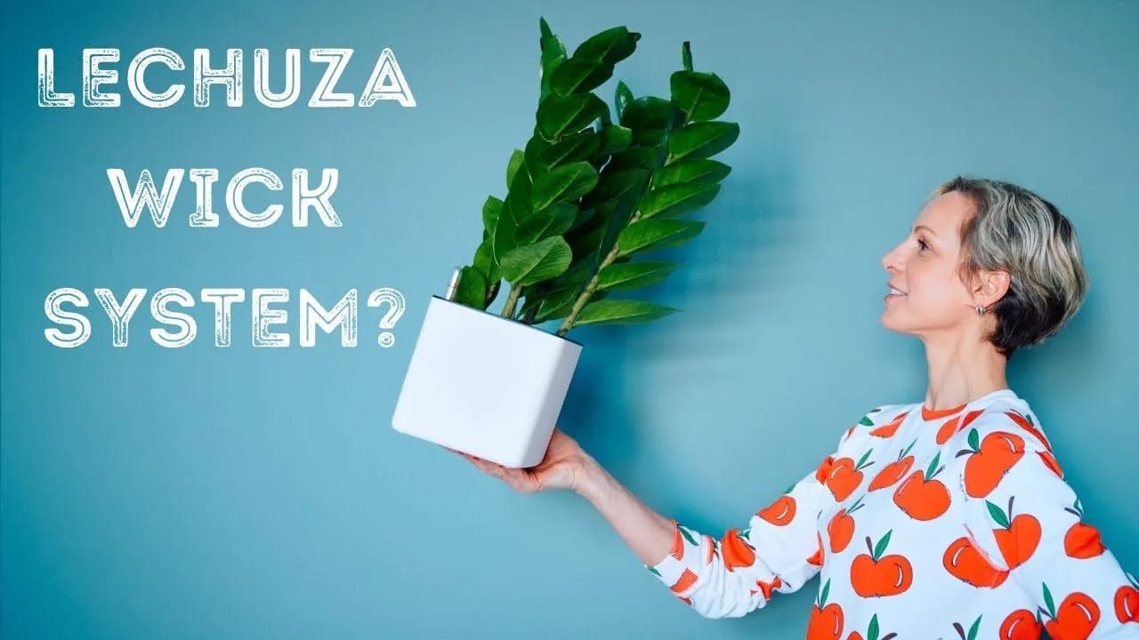 How To Grow Plants In Lechuza Planters With Wick System – Cube 16, Cube 14, Canto 14
