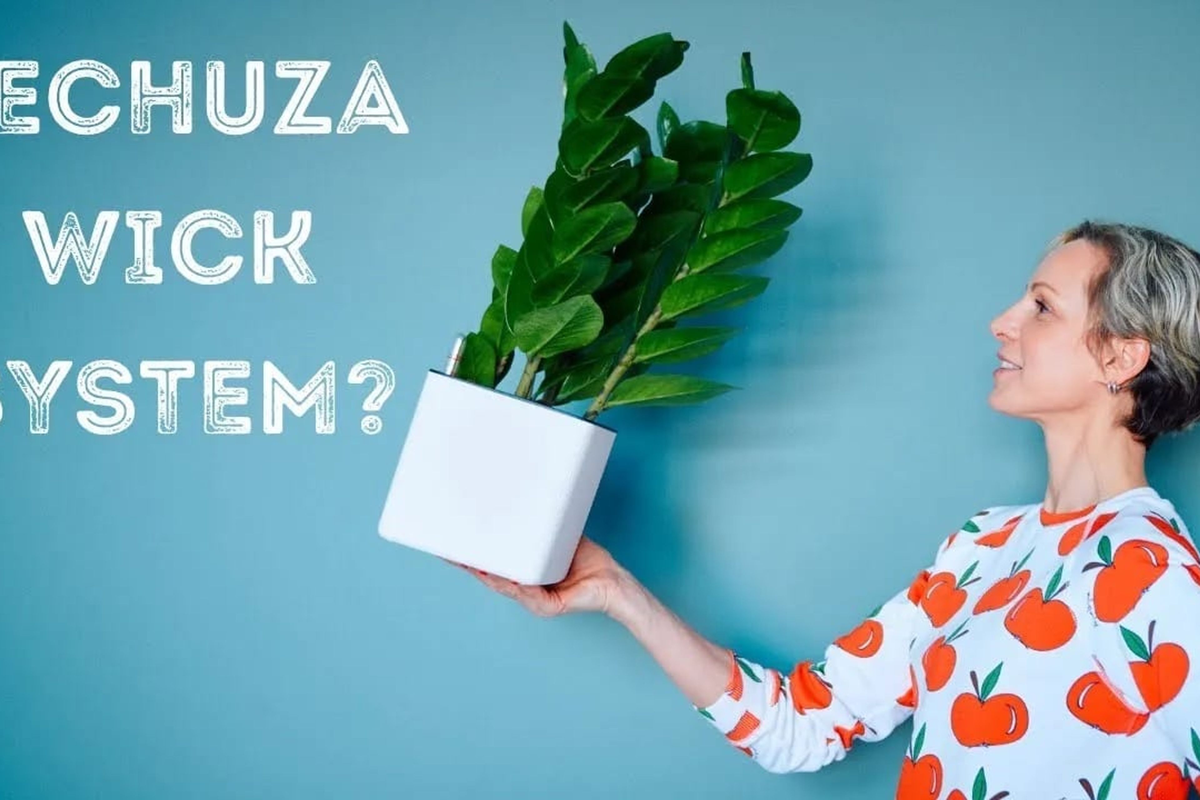 How To Grow Plants In Lechuza Planters With Wick System – Cube 16, Cube 14, Canto 14