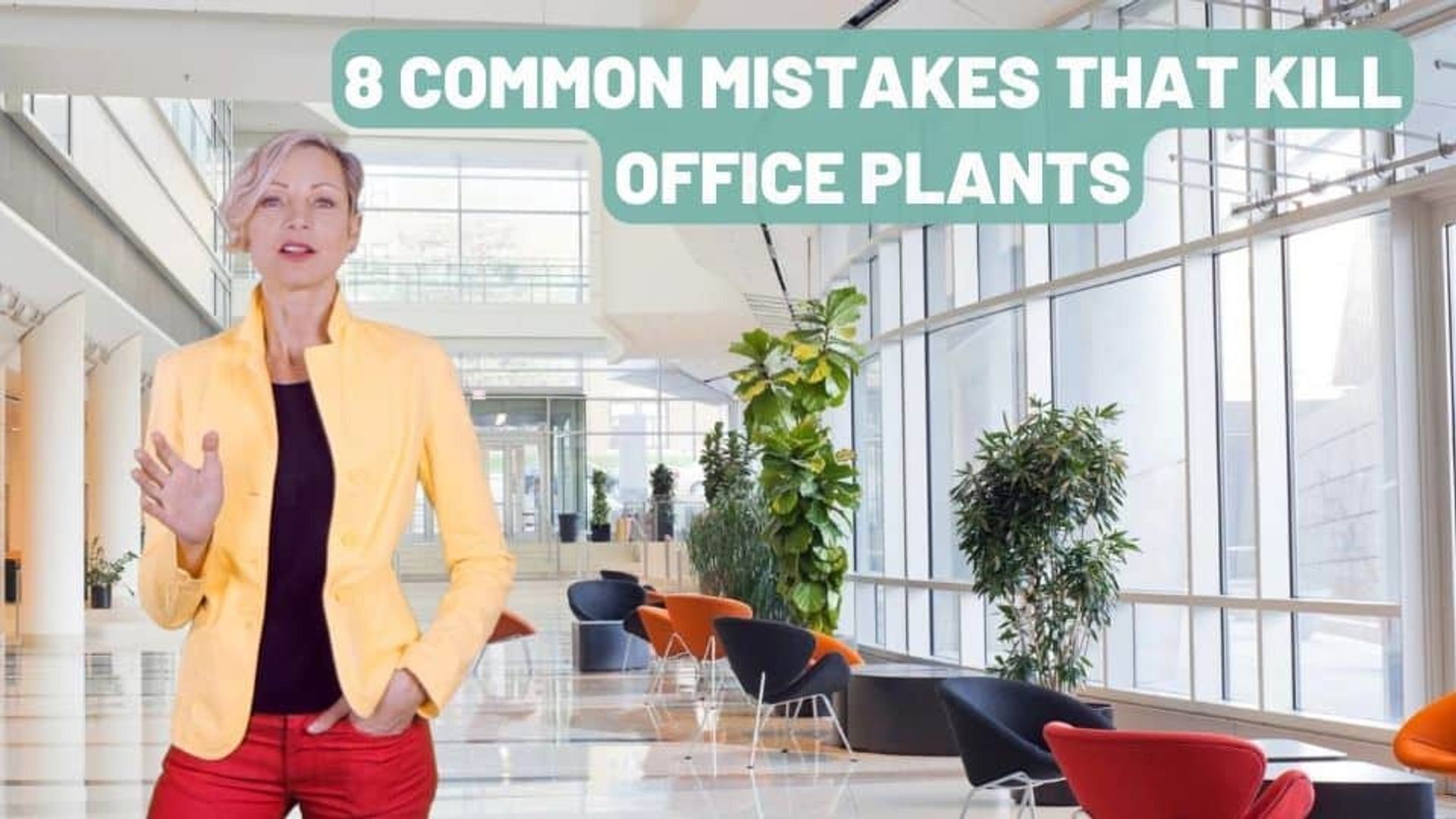 Stop Killing Your Office Plants – 8 Mistakes To Avoid