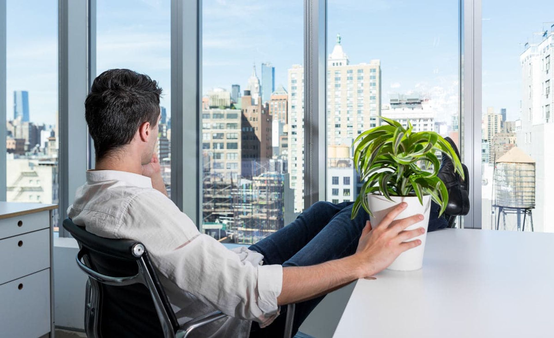 How To Choose The Right Plants For Your Office + Care Tips