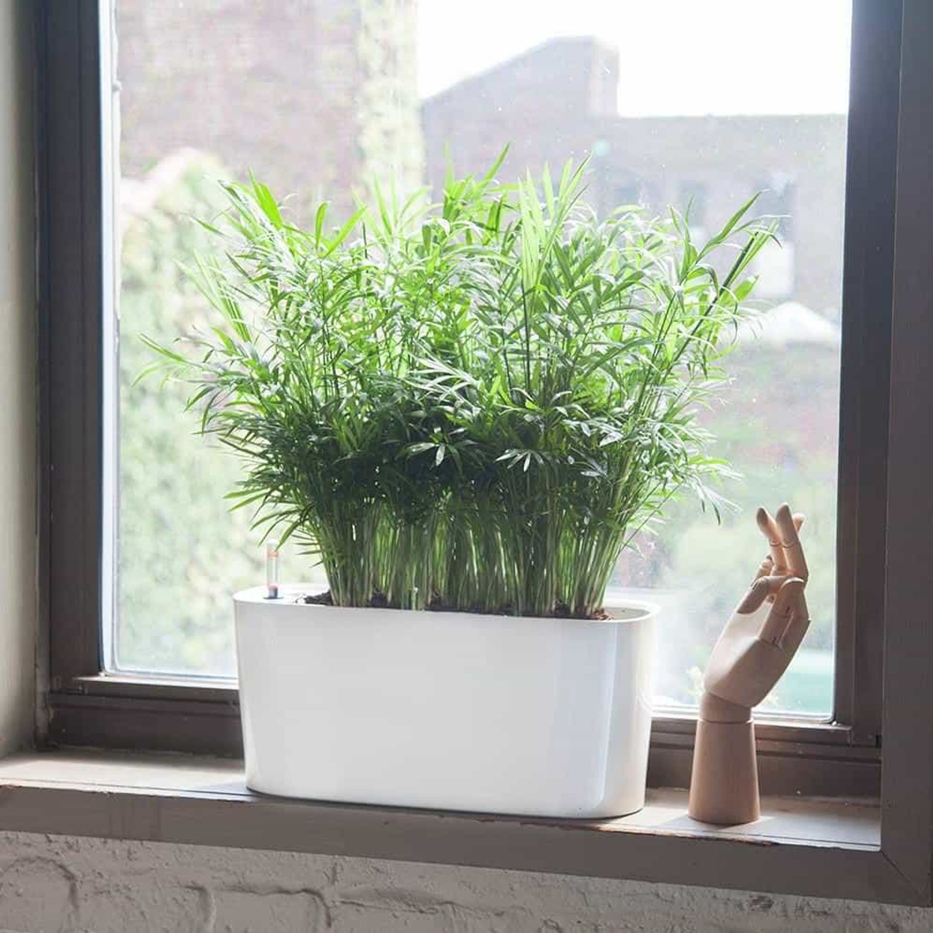 Plant Light Guide