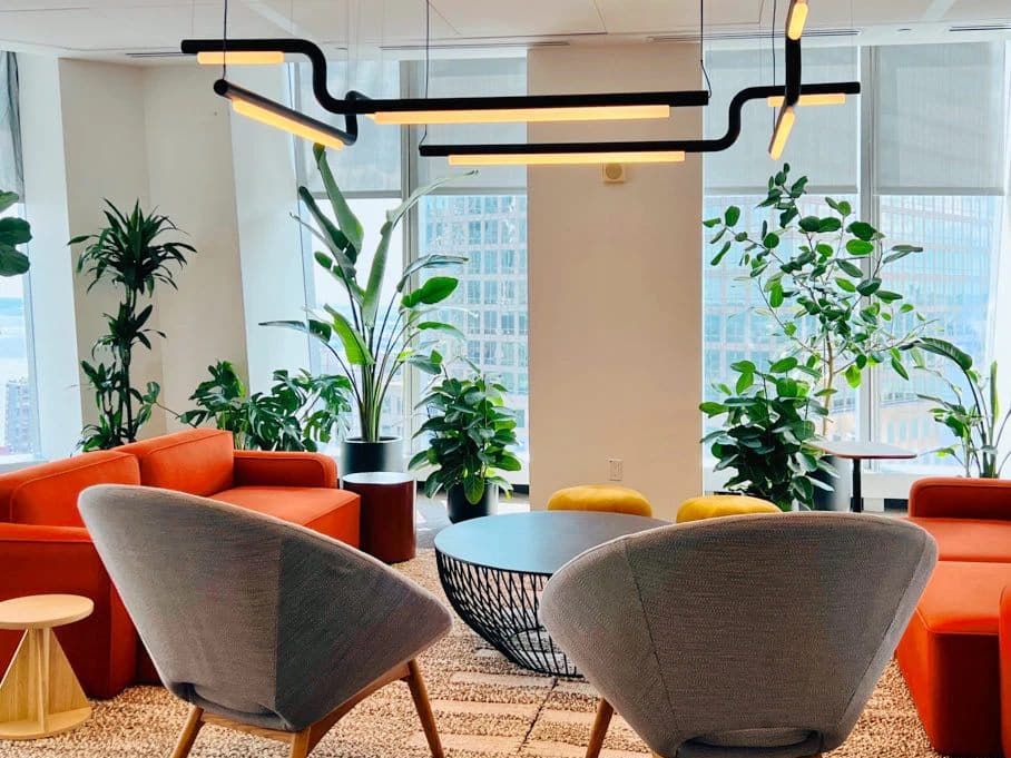 Image of best low light plants in modern office environment