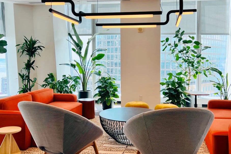 Image of best low light plants in modern office environment