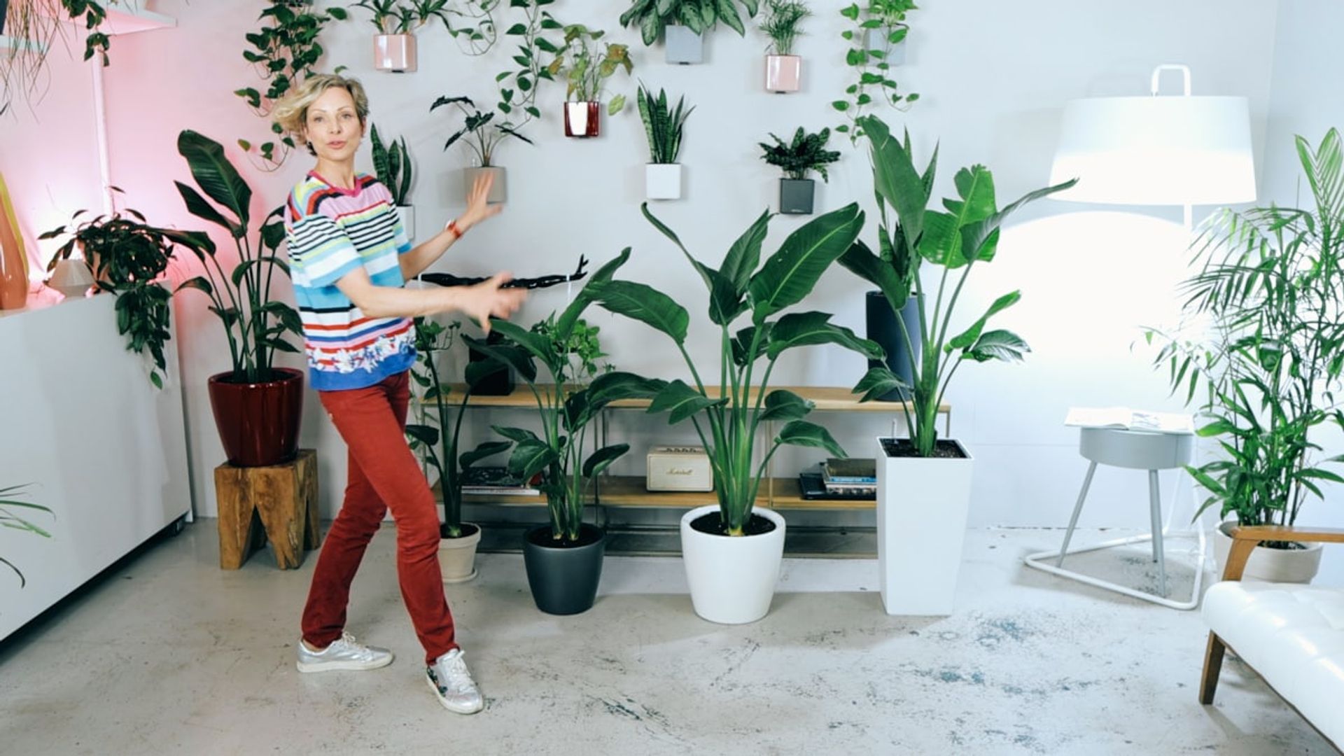 Juliette is standing in a modern indoor room full of various green potted plants, including large bird of paradise plant arrangements after dividing them, with a wall-mounted arrangement of smaller greenery in the background, under a warm glowing light.