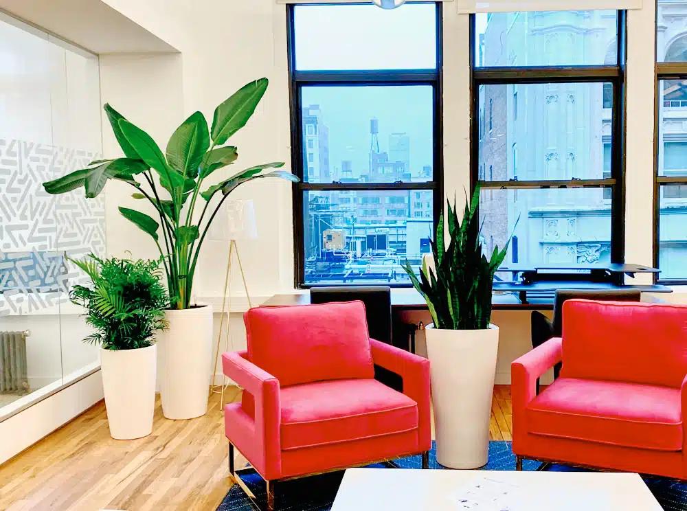 Manhattan office lounge with tall plants in white planters and a skyline view.