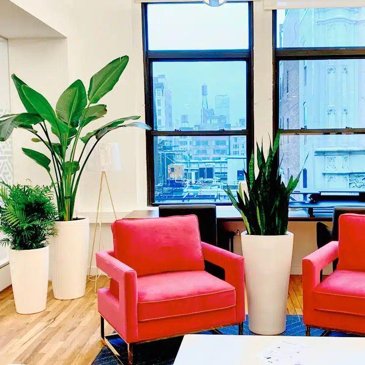 Manhattan office lounge with tall plants in white planters and a skyline view.