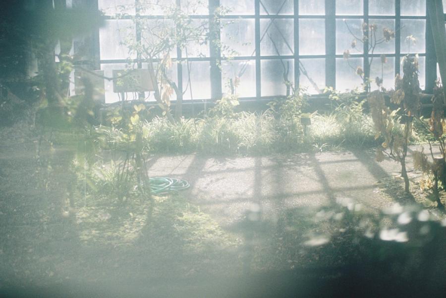 greenhouse