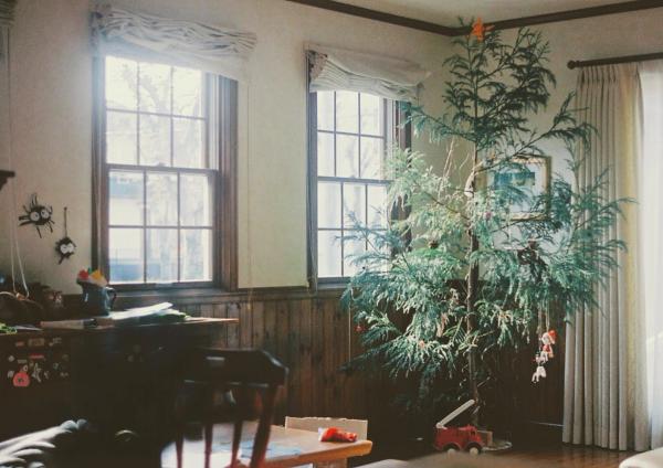 tree