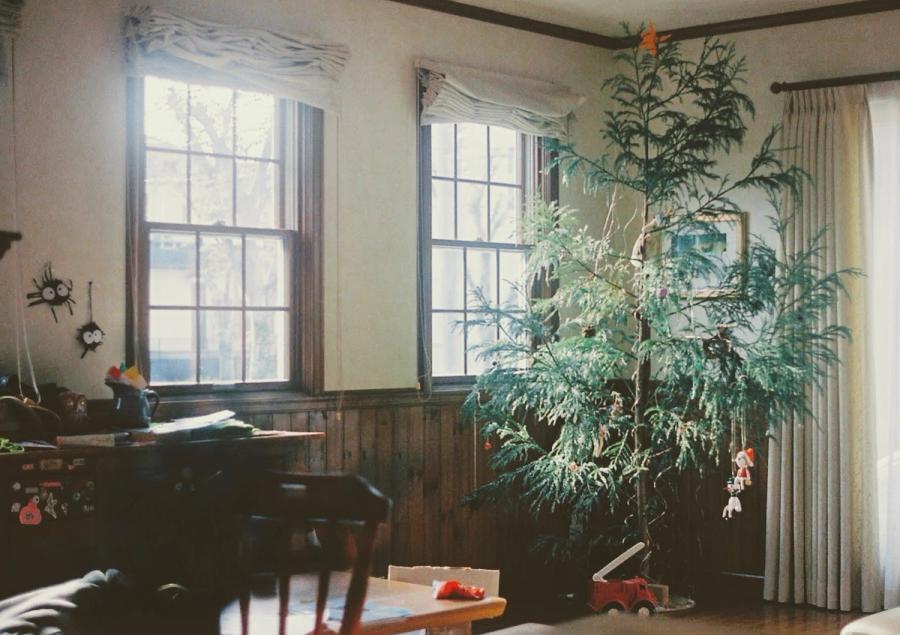 tree