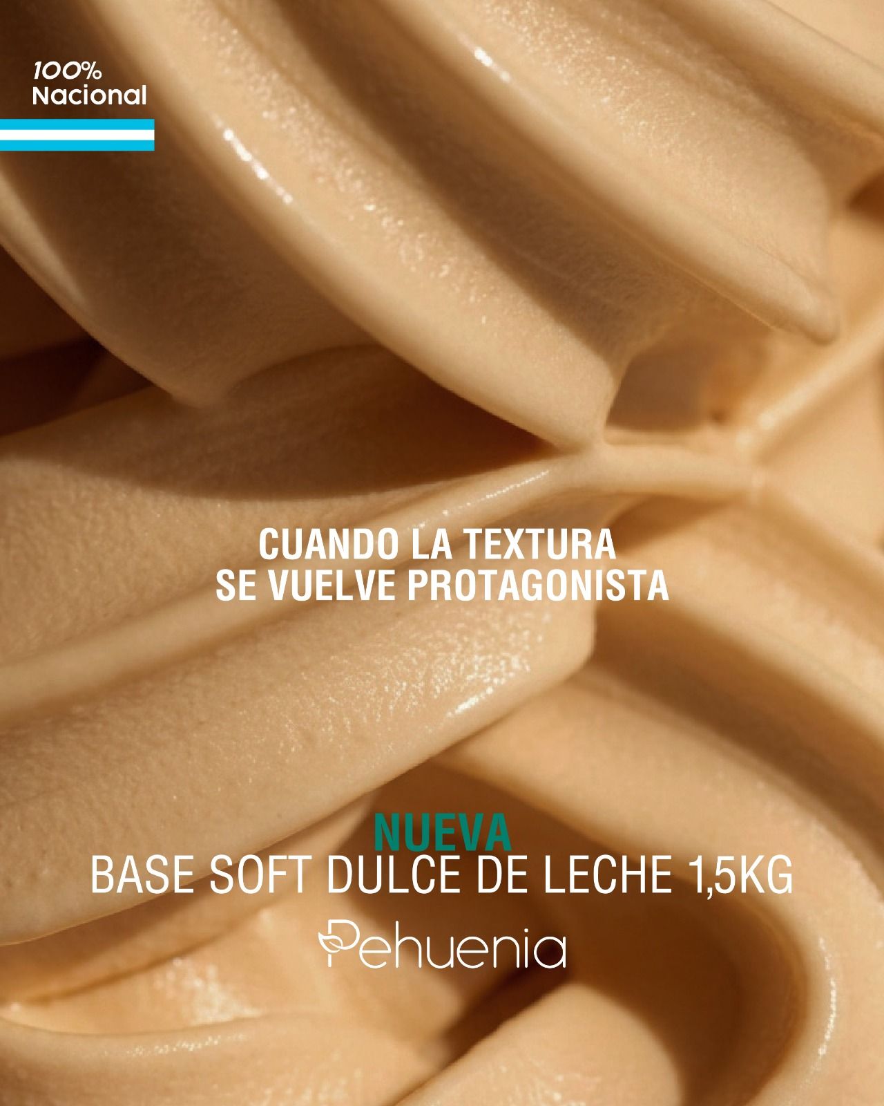 Base Soft DDL PEHUENIA 
