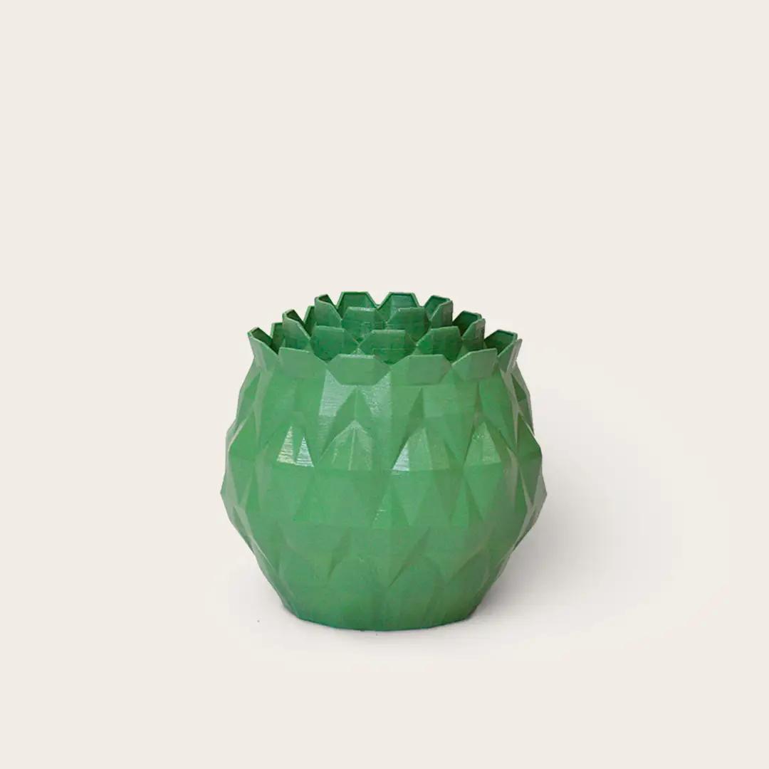Artichoke Agave