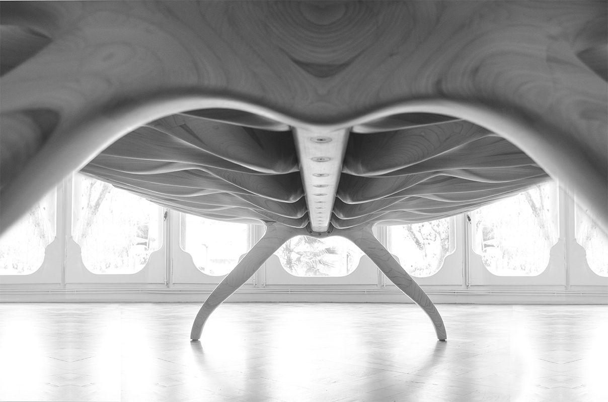 Spinal Table