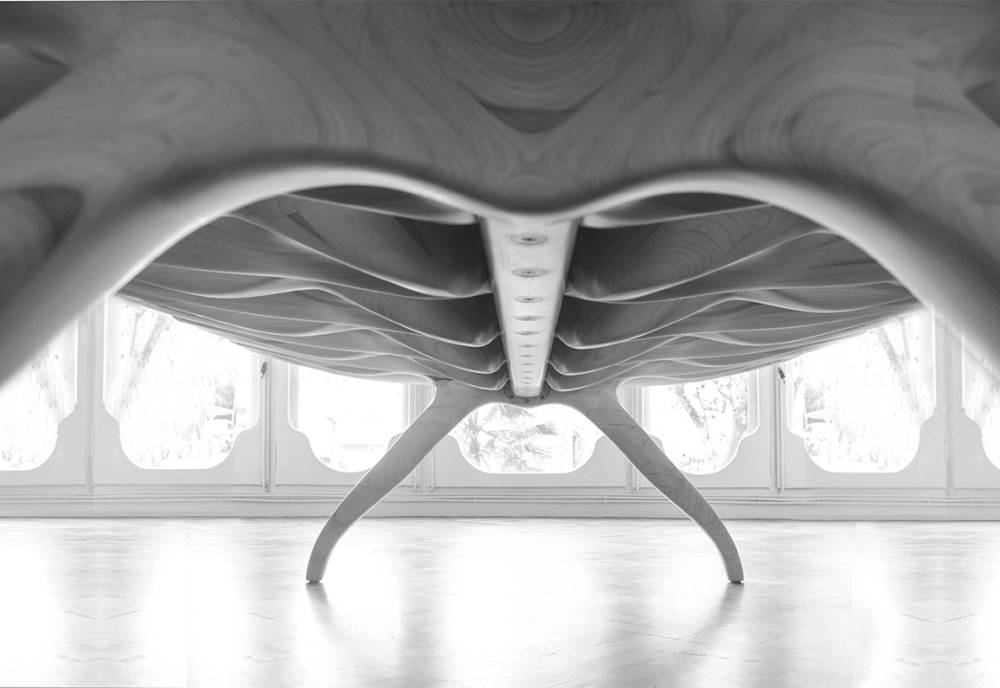 Spinal Table