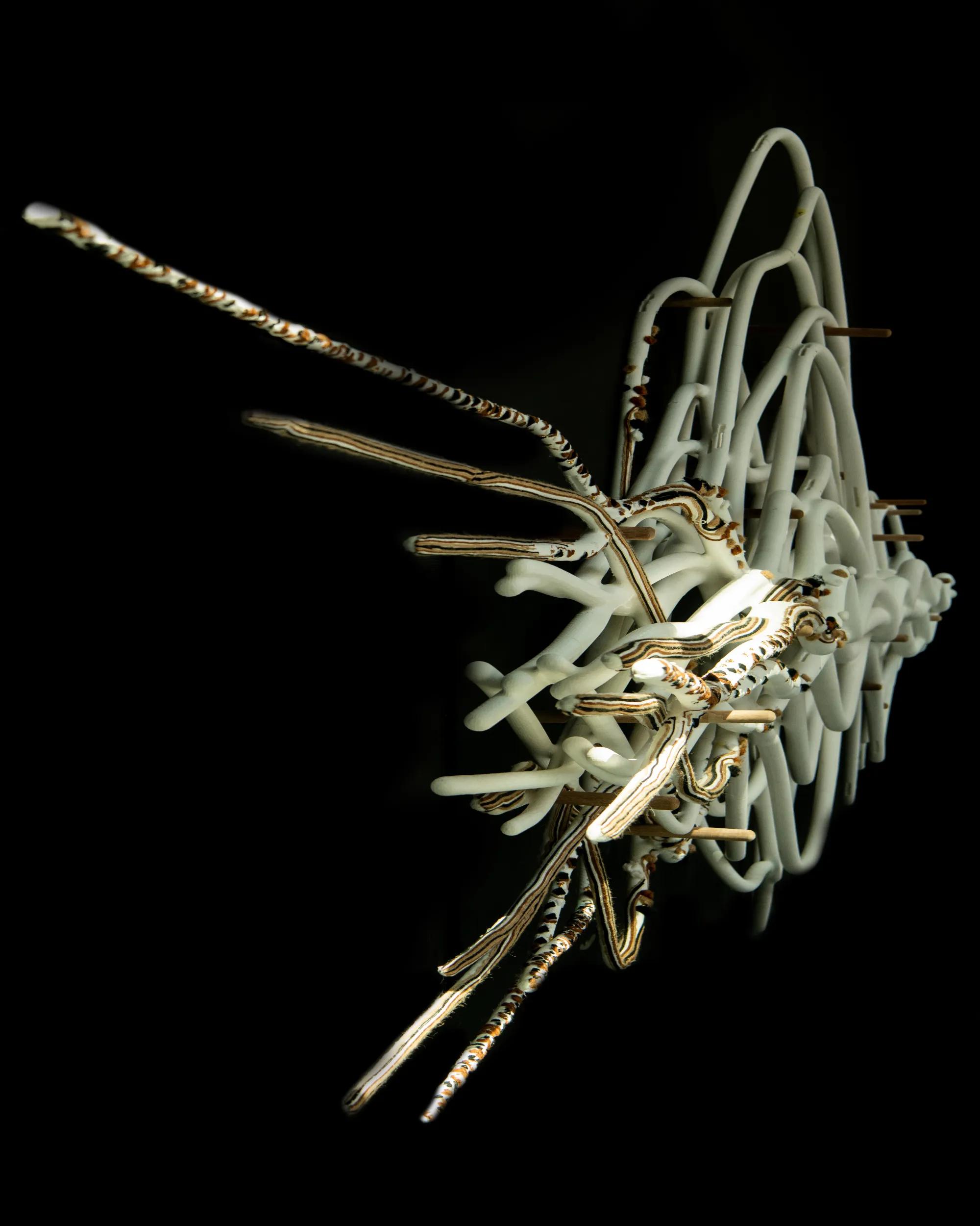 Menasa Installation