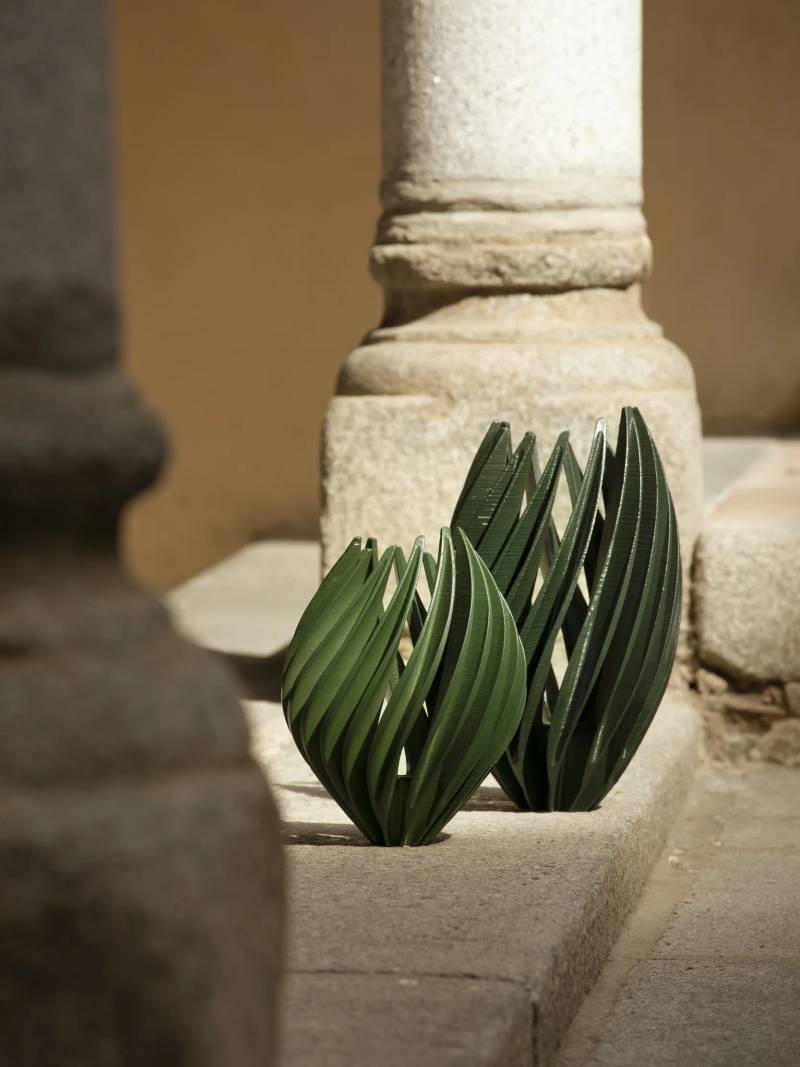Pure Plants