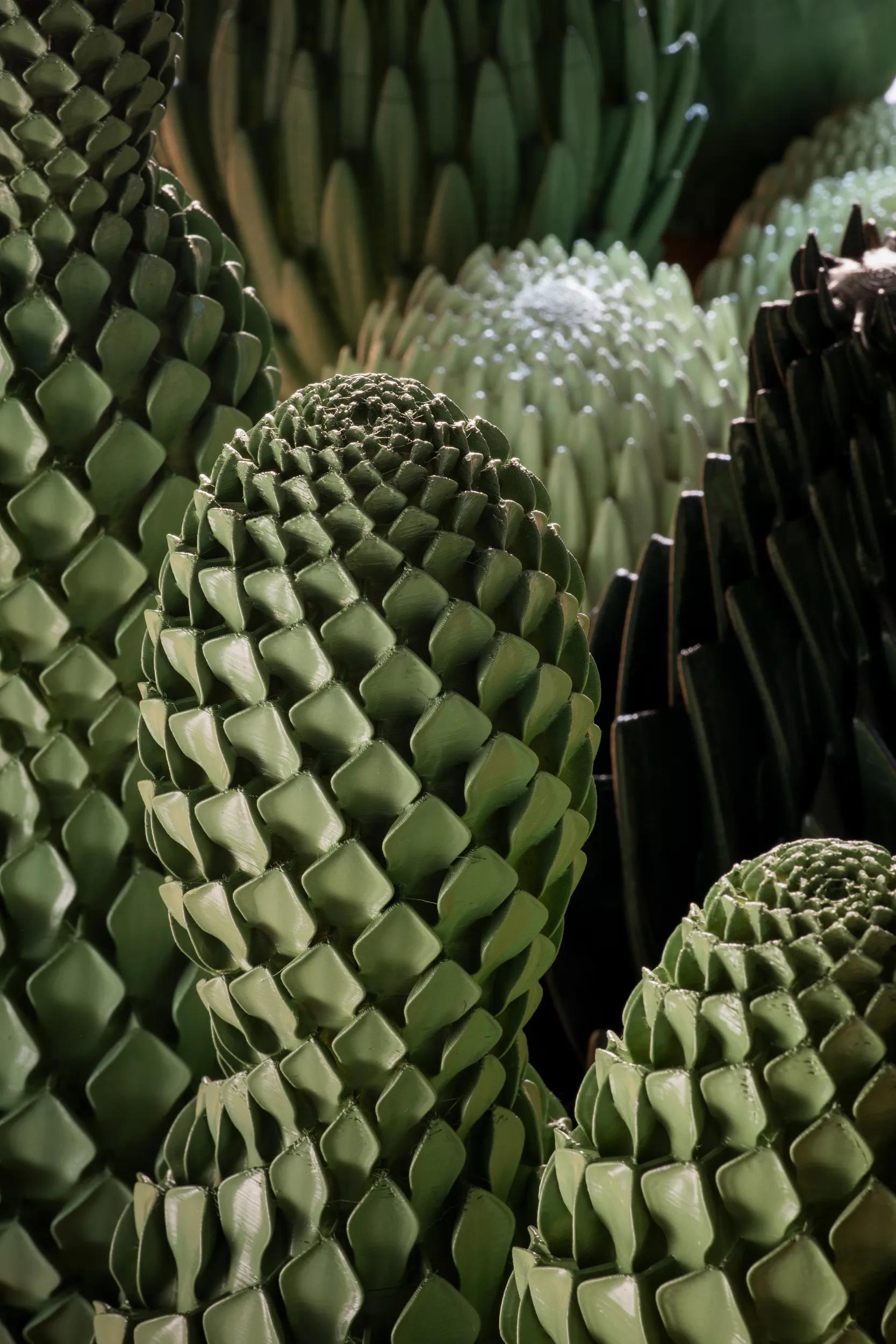 Pure Plants