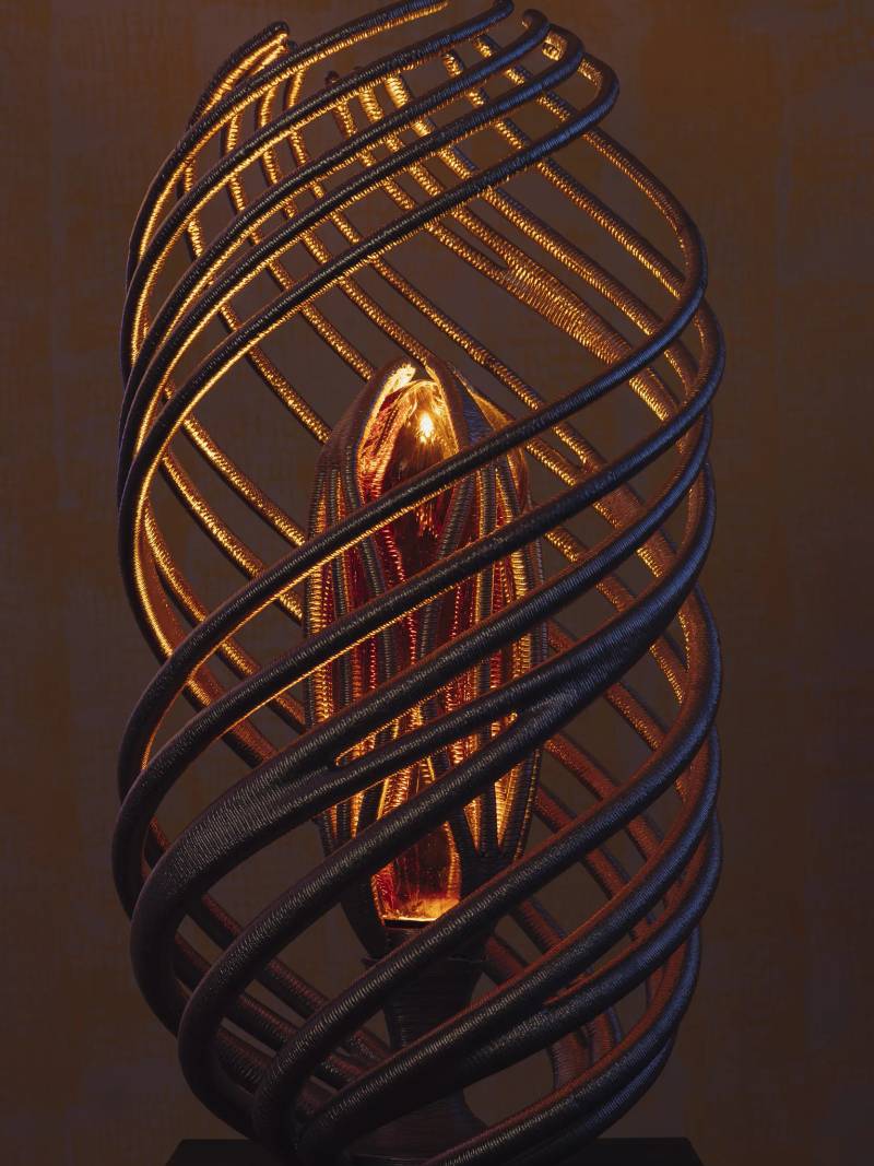 A Story of Light and Matter
