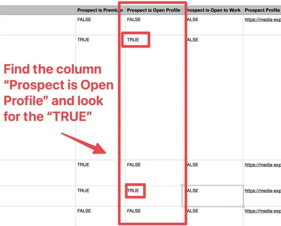 filter open profiles linkedin