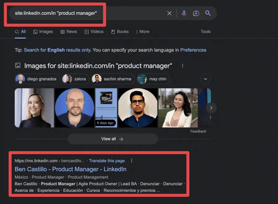 linkedin url seo optimization