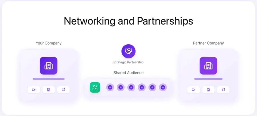 Networking and Partnerships