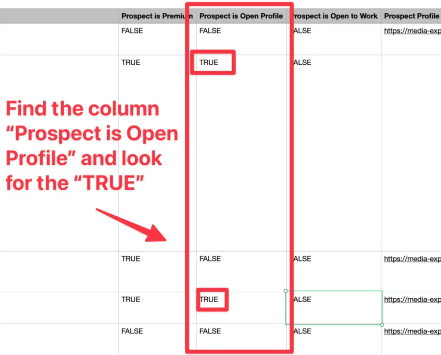 offene Profile filtern linkedin