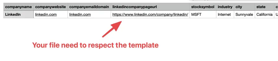 modello upload linkedin ads