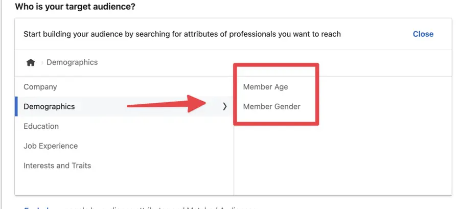 demographics target audience filter linkedin ads