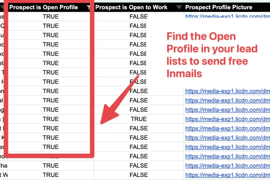 prospect linkedin open profiles