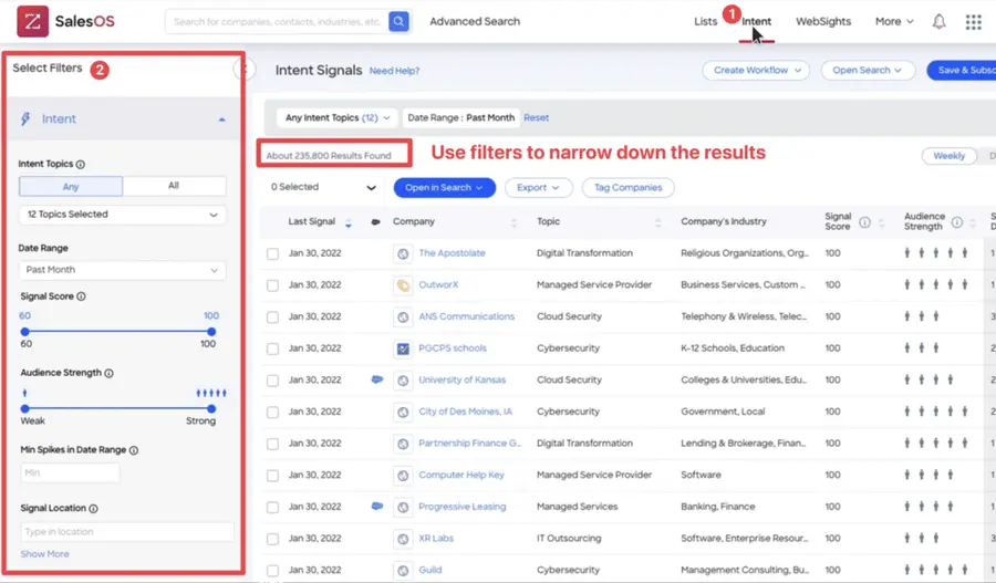 zoominfo salesos intent data filters