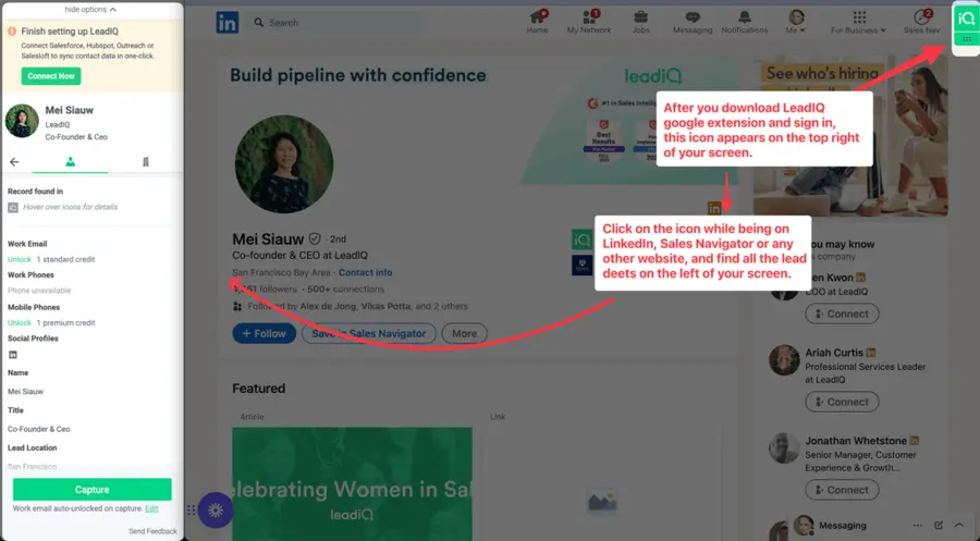 how to use leadiq google extension for extracting leeds and quality information about them