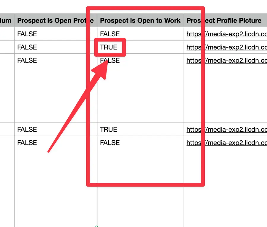 open to work evaboot double-check tur or false