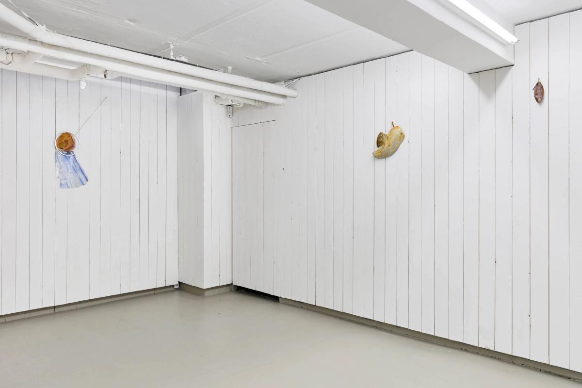 Torben Ebbesen, 11 Optegnelser, Installation View 
