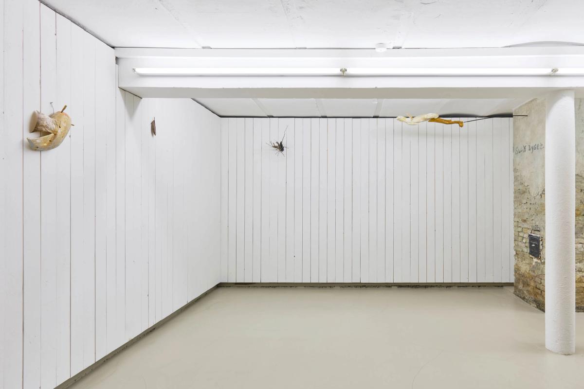 Torben Ebbesen, 11 Optegnelser, Installation View