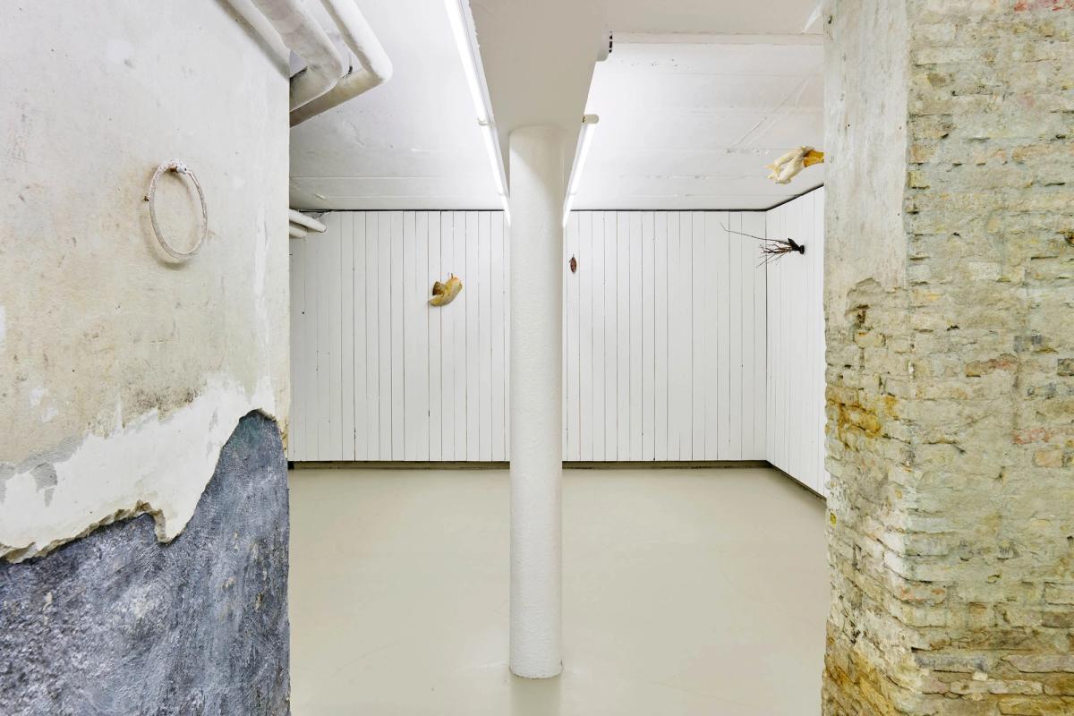 Torben Ebbesen, 11 Optegnelser, Installation View