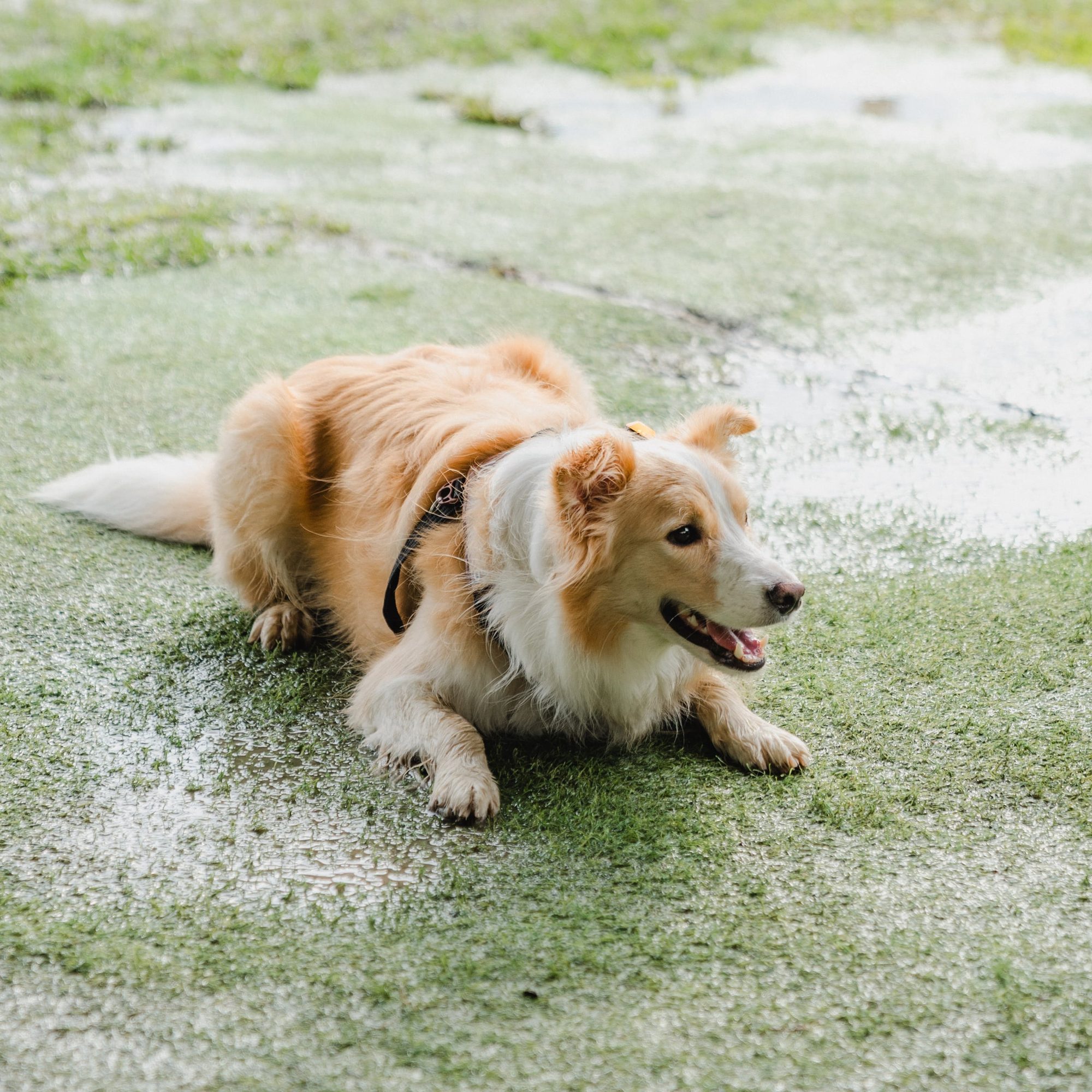 Airplane Mode × Sound Healing — 9