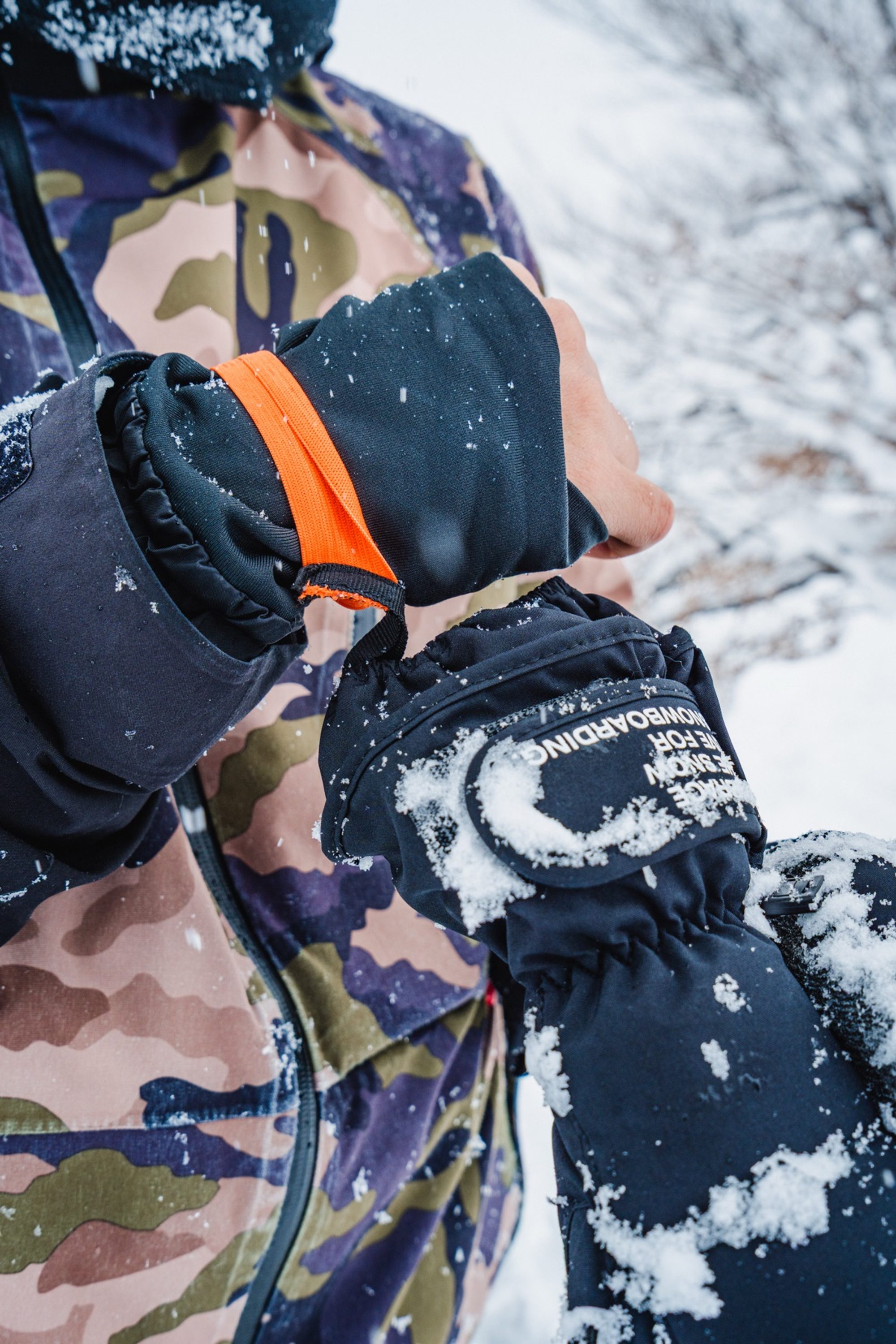 越後湯澤 · 冬季滑雪紀錄 — 周邊