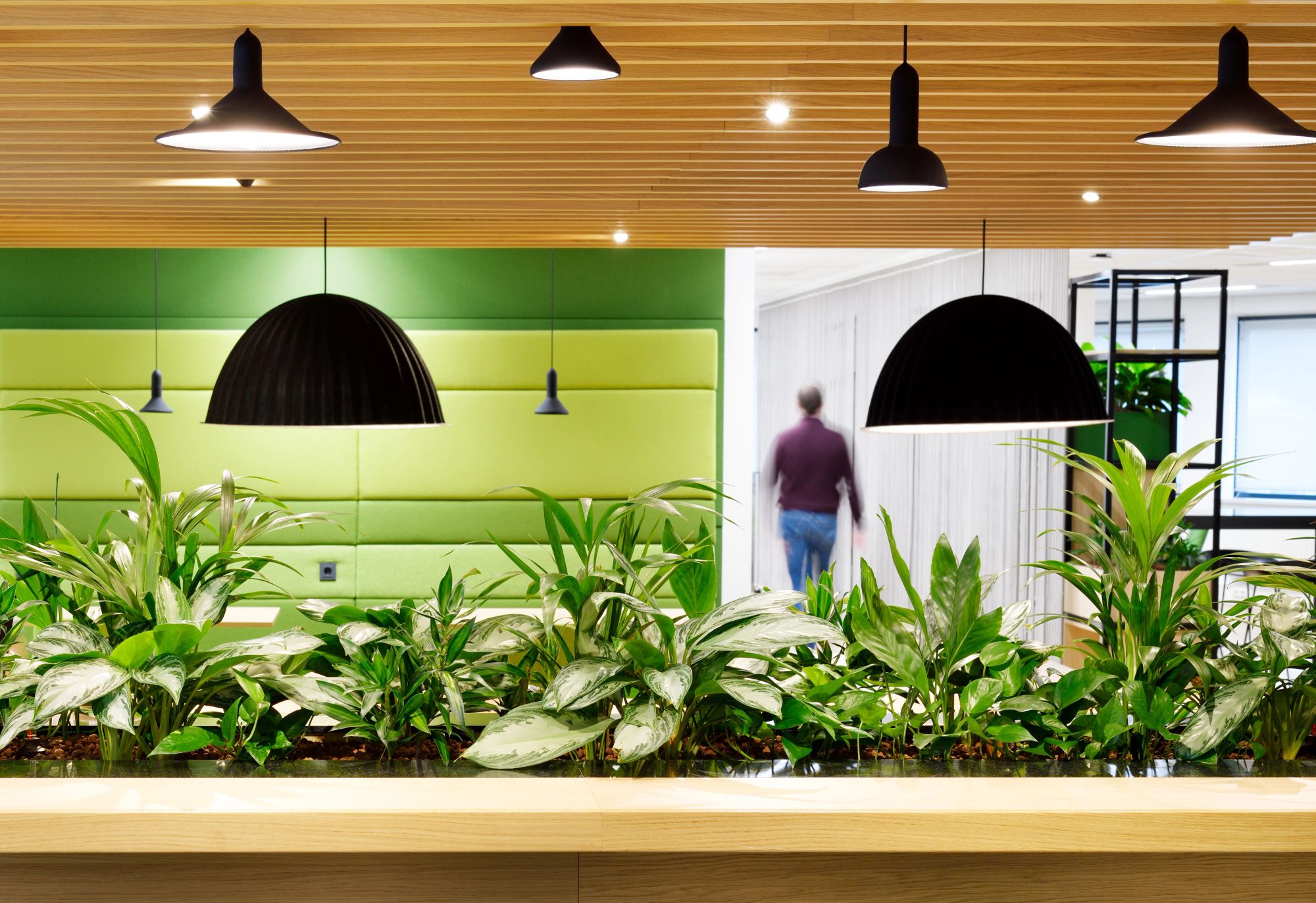 plantentafel in ontmoetingsruimte