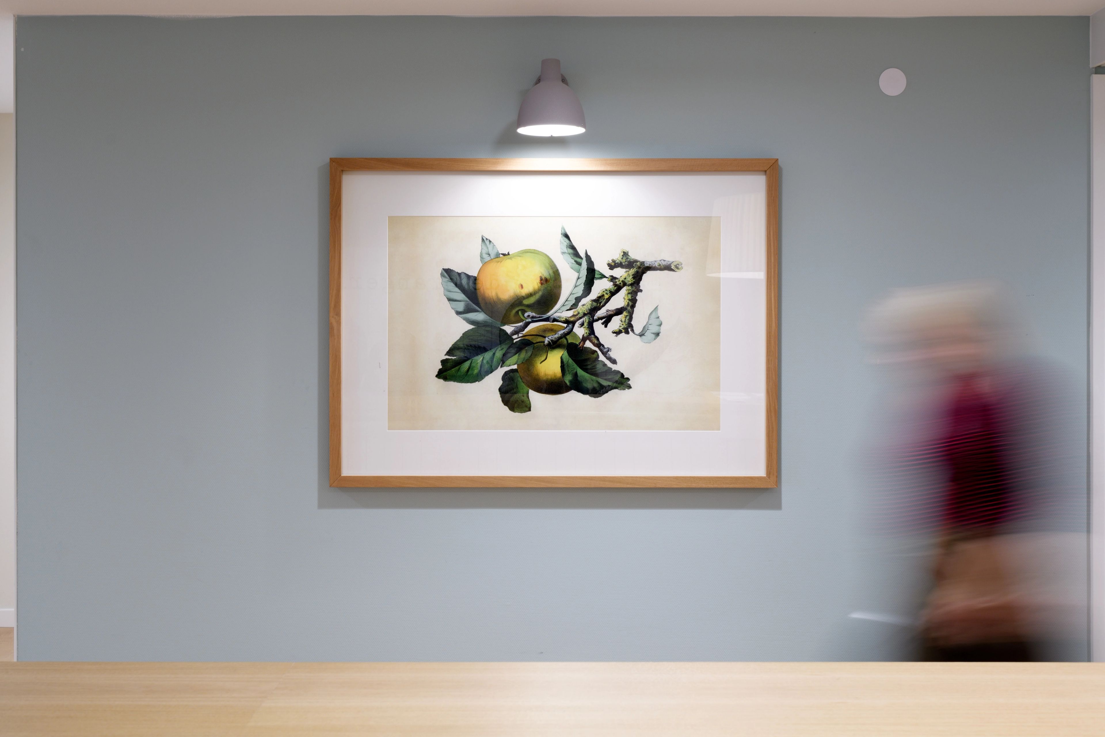 beelden van planten