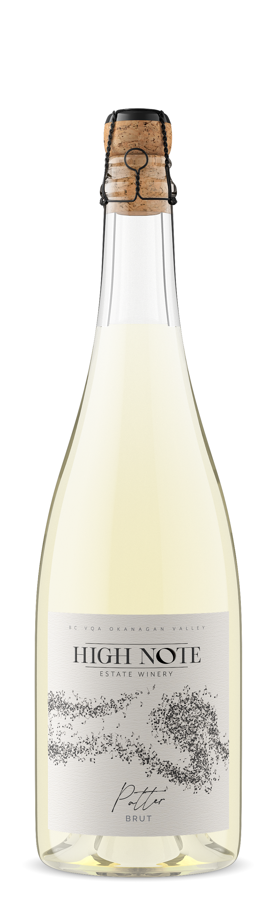 2023 Patter