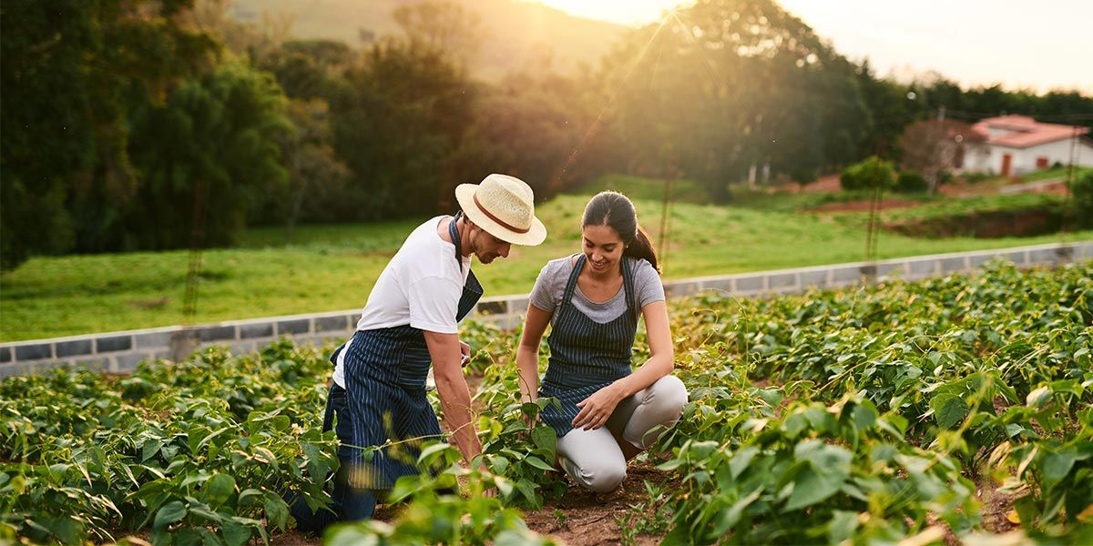 Agricultural operations including farms, livestock, and food production facilities.