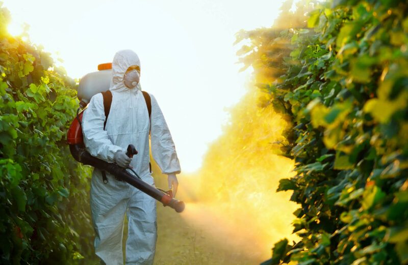 Farmworker applying pesticides using proper safety gear.