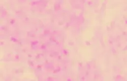 Truvivo Cell Up Close