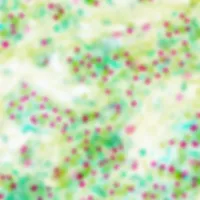 Cellular Structure Up Close