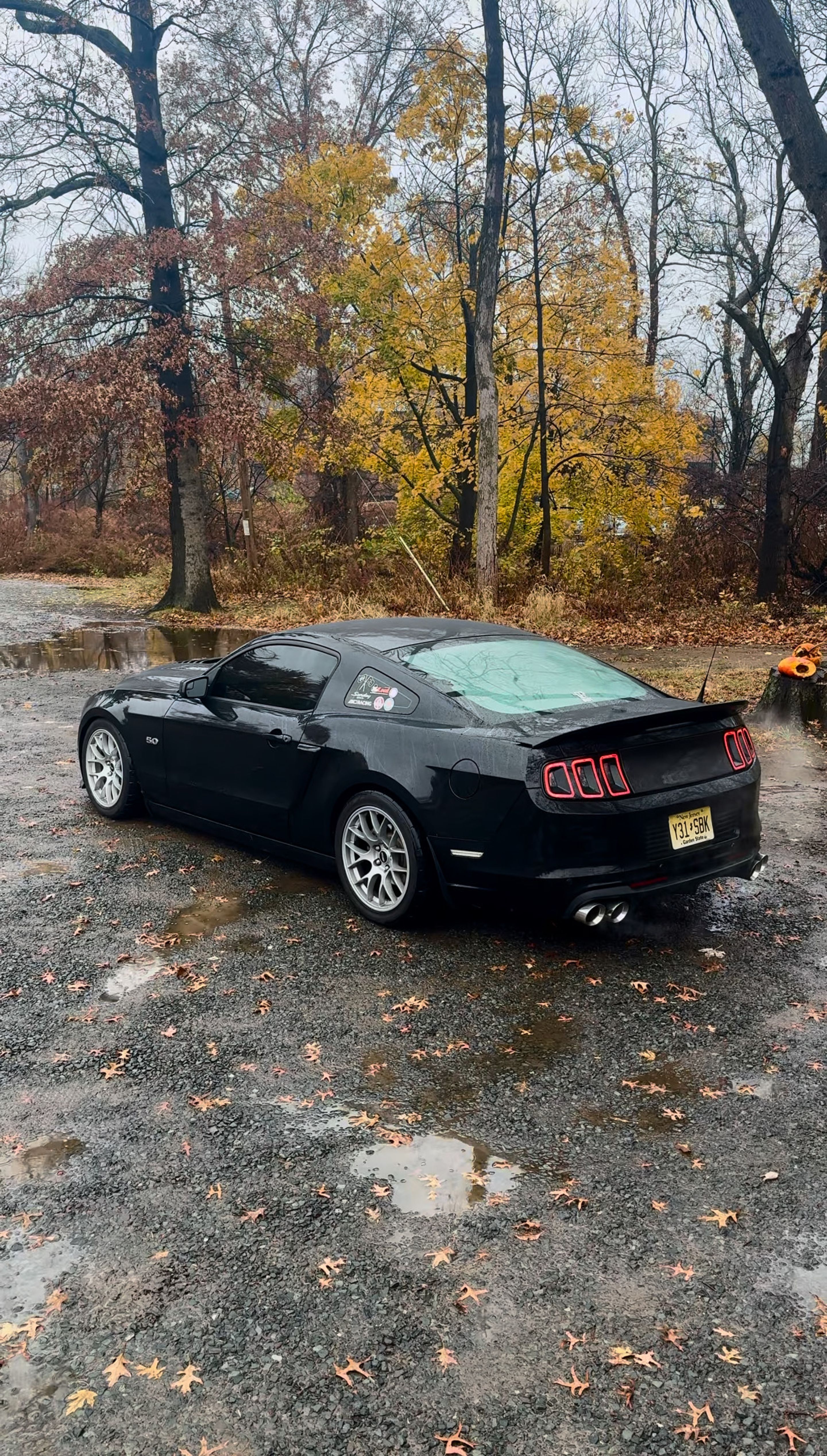 Black Ford S197 Mustang GT with 18" EC-7 Apex wheels in Race Silver