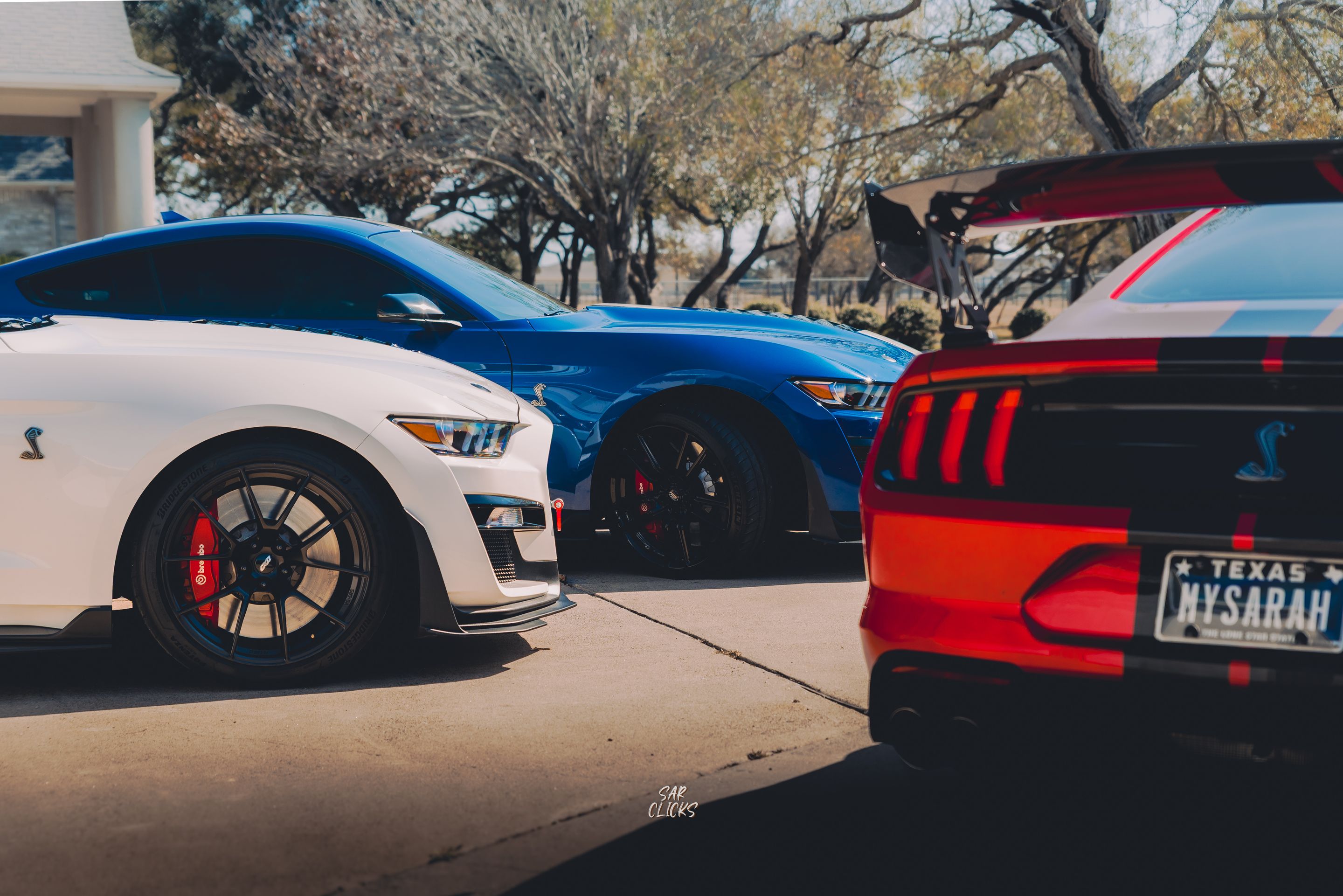 White Ford S550 Mustang GT500 with 20" VS-5RS Apex wheels in Satin Black