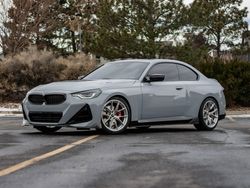 Grey BMW 2 Series - VS-5RS in Brushed Clear
