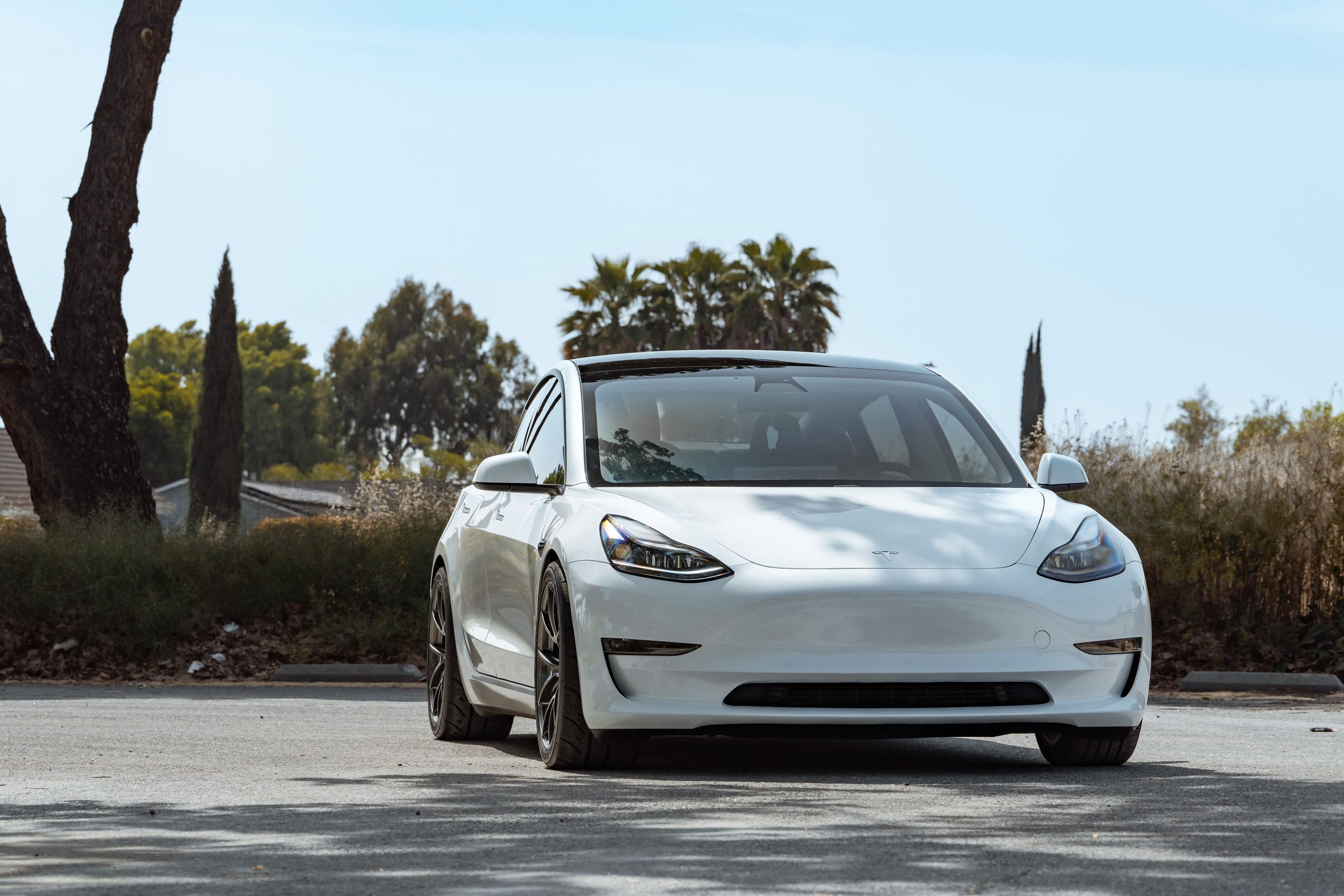 White Tesla Model 3 with 19" VS-5RS Apex wheels in Anthracite