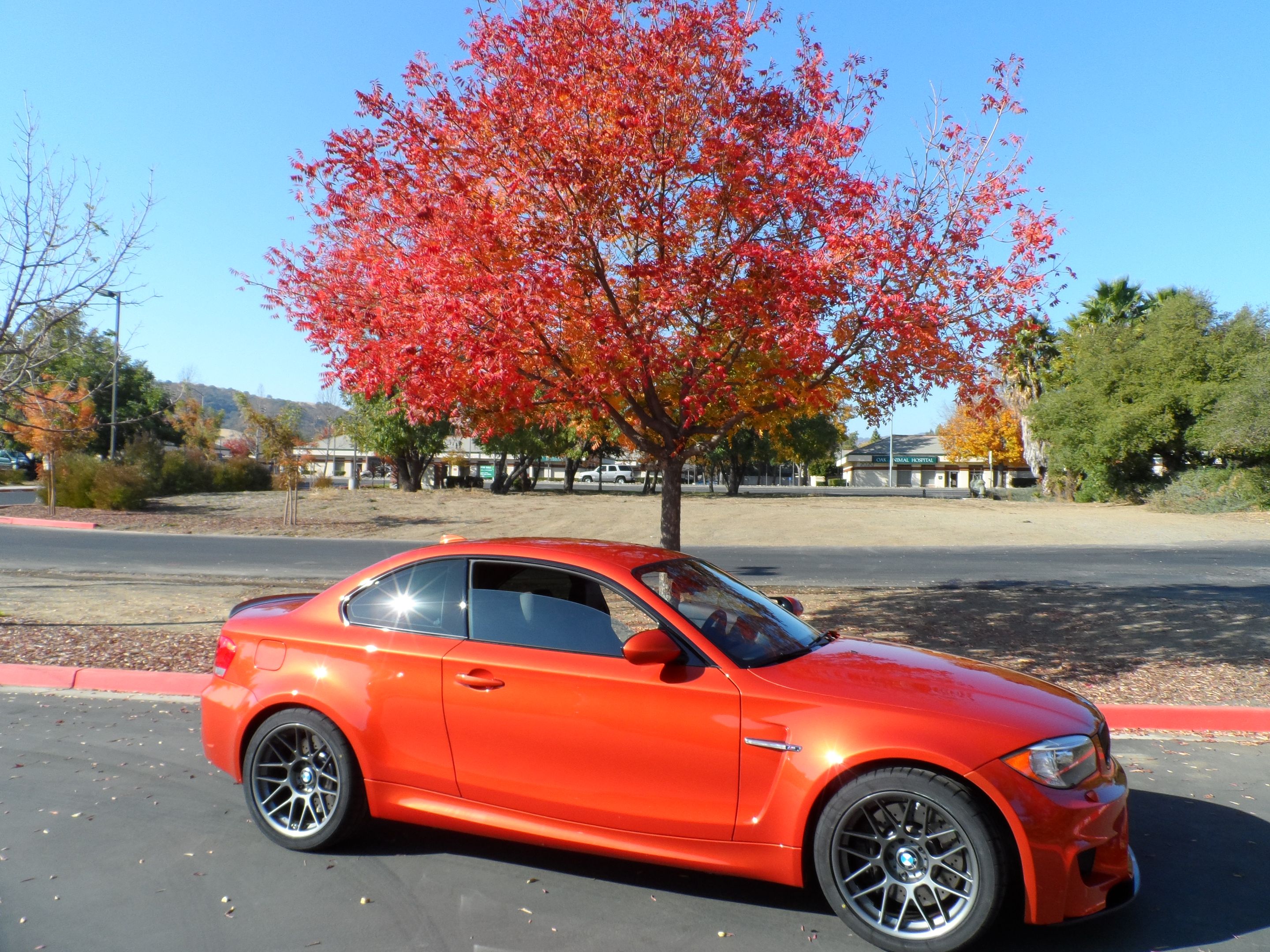Orange BMW E82 1M with 18" ARC-8 Apex wheels in Satin Black