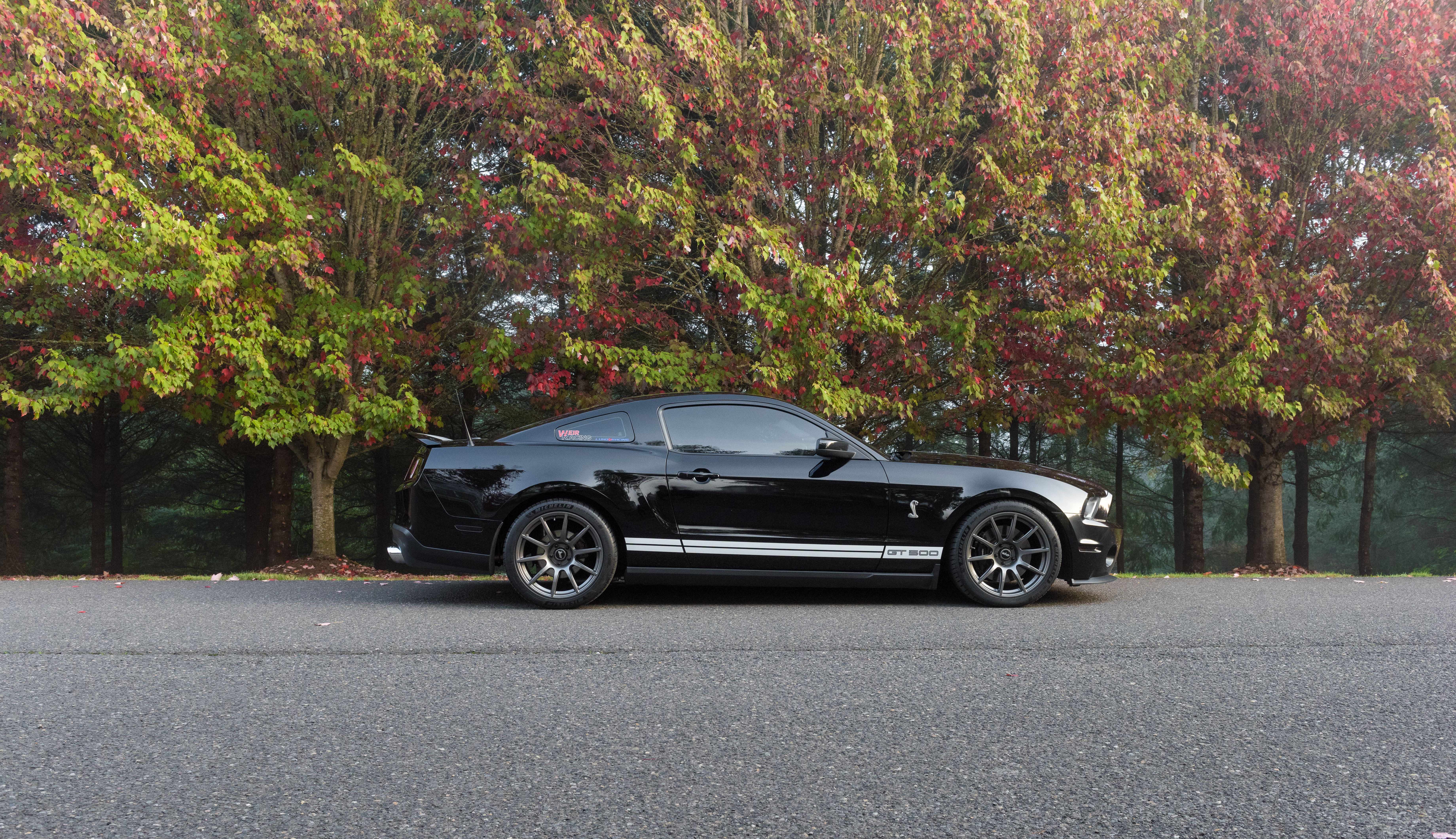 Ford S197 Mustang GT500 with 19