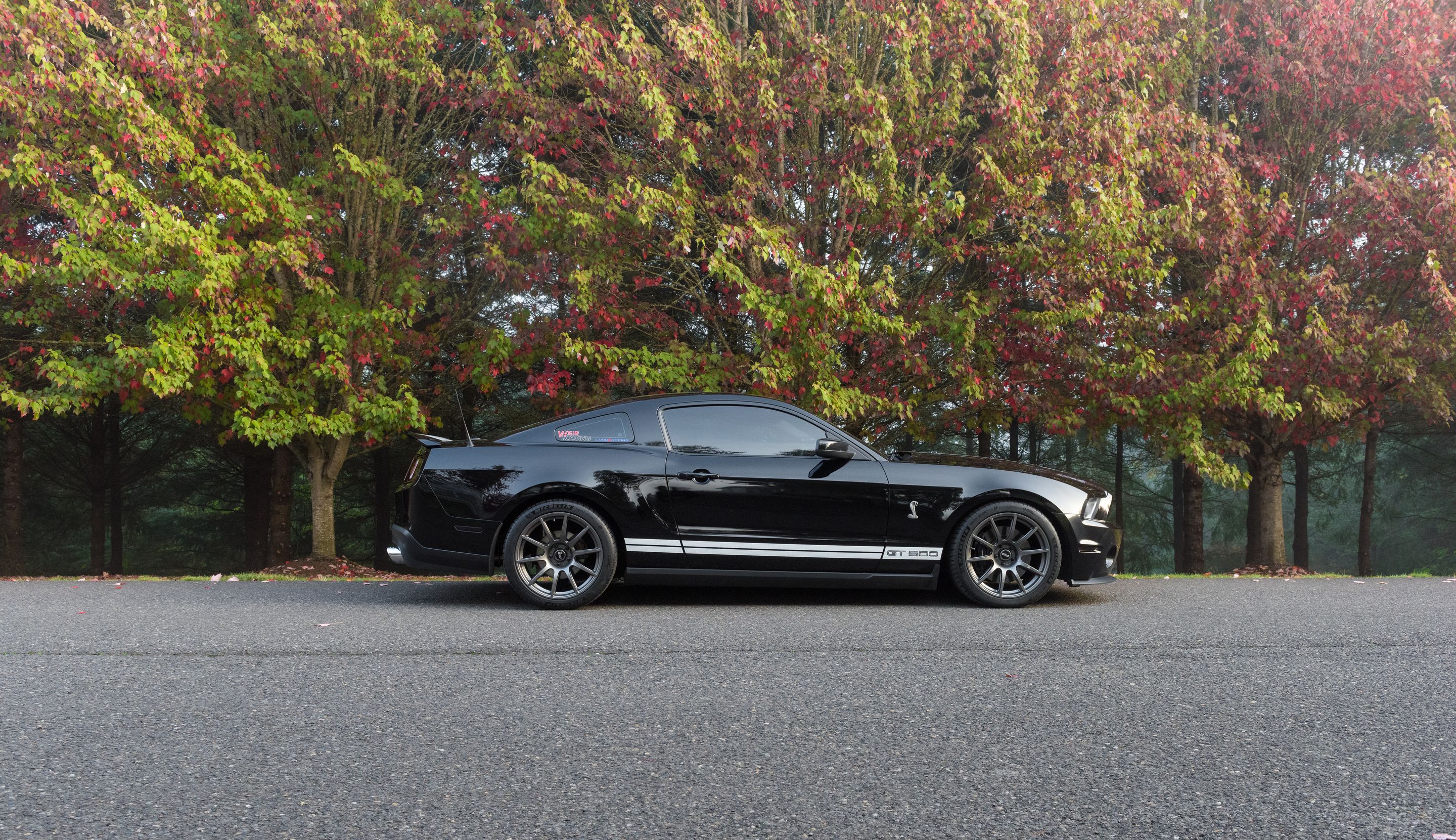 Black Ford S197 Mustang GT500 with 19" SM-10 Apex wheels in Anthracite